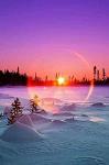 LUCAS_1966
