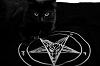 dark_thanatos