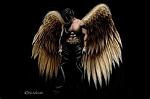 Dark3Angel_LSV