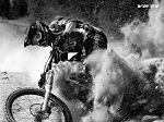 limoxxx
