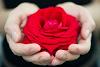 _Adhara