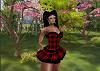 l__NAIMA__l