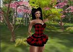 l__NAIMA__l