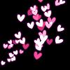 Kiny