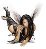Calandra