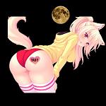 YANI_SOLAR