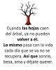 cordobes146