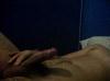 Fito_27
