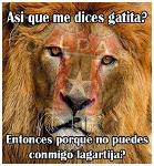 Majetico