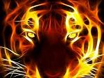 VictoR_LiOnS
