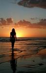 Arian_