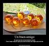 jhon48