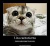 xx4n7h0n10xx