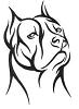 fadog