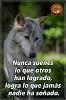 JAVIERA_LOBA