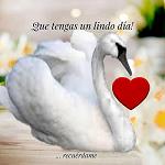 CiZzNe_OnAsSiS