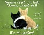 Joseba_Lu