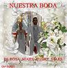 DJ_ROSA_stars