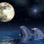 LuNa_ShiNy