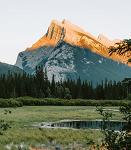 _zaid