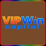 vipwincapital