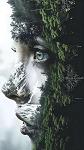 Airam_