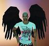The_KING_AnGe