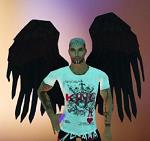 The_KING_AnGeLs_