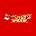 hay88forex