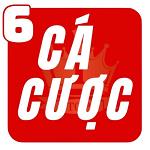 trangcacuocb2vn