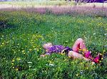 laving