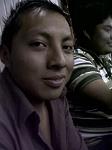 cris3520
