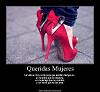 sofialife