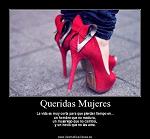 sofialife