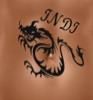 indi11