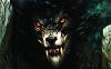 WOLF_WARRIORS