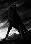 Darkonis