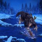 Blackywolfgang