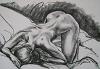 Mayte36