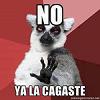 karollachicas