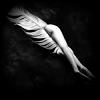VenusVictrix