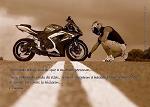 motorista14