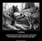 JosS_D_ThE_WolF