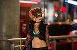 Zorra_nocturna