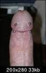 boga