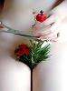 thalias1