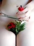 thalias1