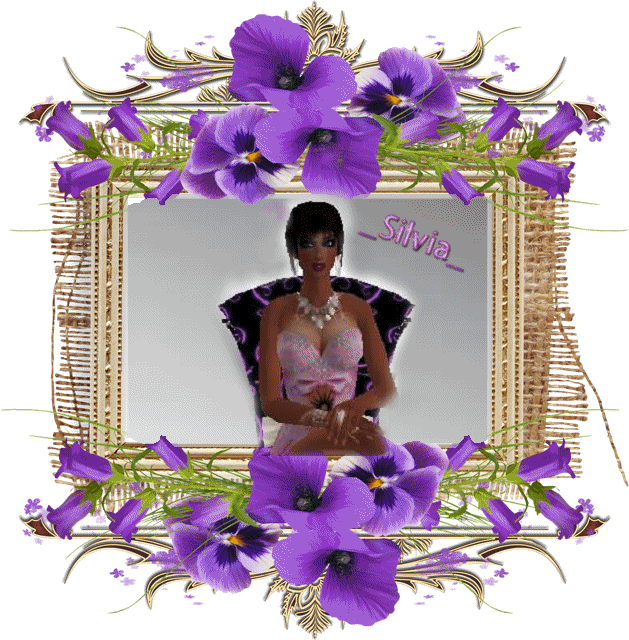 _silvia_