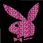 pRiNcEsO_LiNdO