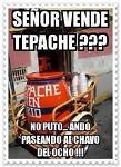 quintopiso